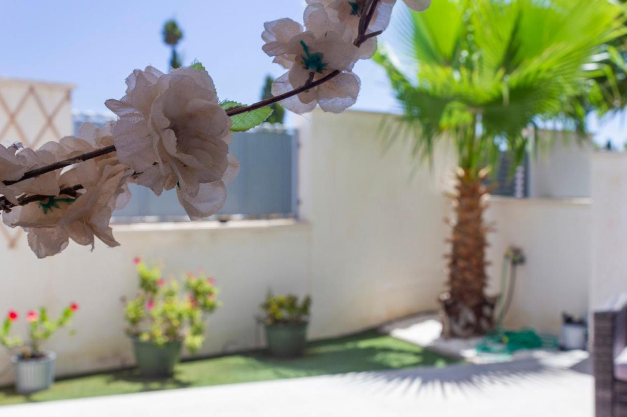 Bungalow Pink Garden Οριουέλα Εξωτερικό φωτογραφία